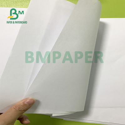 papier excentré non-enduit blanc de 75gsm 80gsm pour la bonne douceur d'insecte