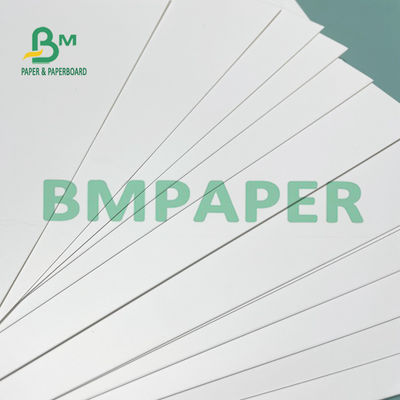 Papier synthétique dissolvant Untearable d'Eco pp pour l'affichage extérieur
