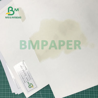 panneau blanc de absorption de revêtement de tasse de l'eau et d'humidité de 1.8mm 700mm x 1000mm