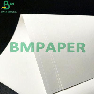 Livre blanc résistant de la larme 230um imperméable synthétique d'ANIMAL FAMILIER pour l'imprimante à jet d'encre