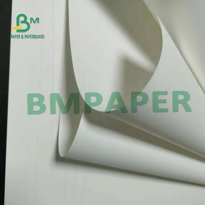 papier synthétique non Tearable Matte Surface For Maps de 180um pp