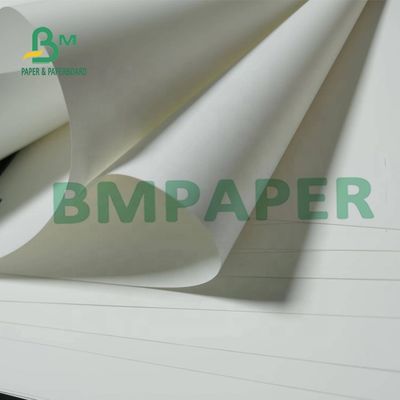 papier synthétique non Tearable Matte Surface For Maps de 180um pp