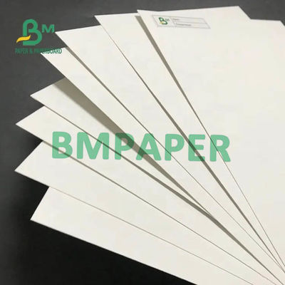 Panneau en ivoire 200gsm de FBB SBS à l'éléphant Rolls de 400gsm 750mm 900mm