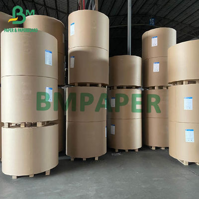 Panneau en ivoire 200gsm de FBB SBS à l'éléphant Rolls de 400gsm 750mm 900mm