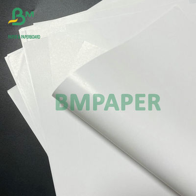 Papier en soie 80lb blanc superbe 100lb 24" de lustre des textes d'intense luminosité X 36"
