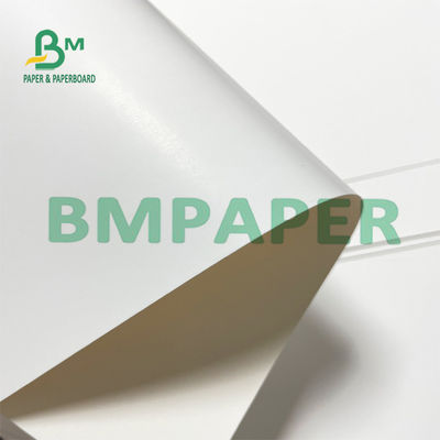 300GSM grand panneau de boîte de pliage de la rigidité C1S pour des boîtes de cosmétiques