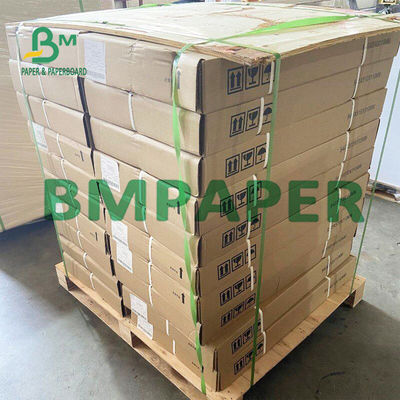 Imprimante thermique Paper Rolls BPA de reçu de 55 GSM libre pour la position