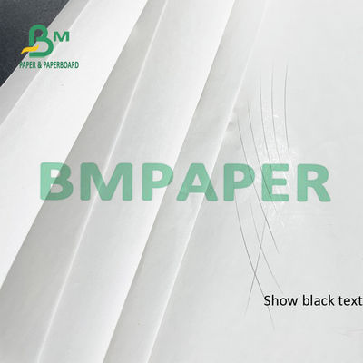 Imprimante thermique Paper Rolls BPA de reçu de 55 GSM libre pour la position