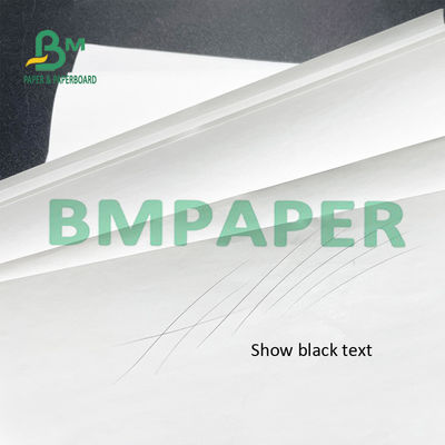Imprimante thermique Paper Rolls BPA de reçu de 55 GSM libre pour la position