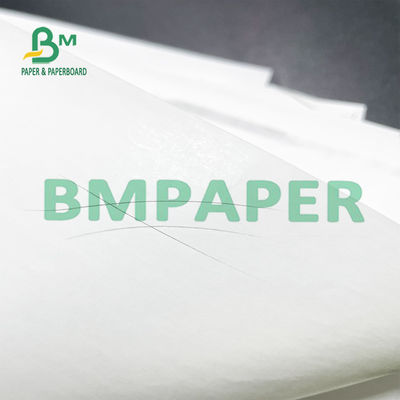 48 catégorie de Paper Roll 50 Rolls A d'imprimante thermique de GSM pour des systèmes de position