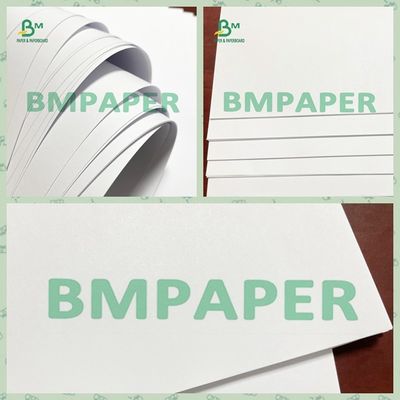 Compensez l'imprimante White Paper Sheet 120 GSM de non-enduit pour des insectes