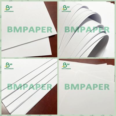 Compensez l'imprimante White Paper Sheet 120 GSM de non-enduit pour des insectes