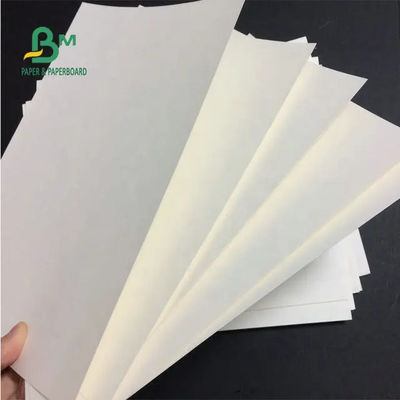 230g a enduit le papier imperméable matériel de polyéthylène d'actions de tasse de PE pour les tasses de papier