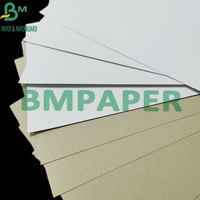 Conseil 300gsm enduit duplex de empaquetage avec l'anti boucle de Grey Back C1S