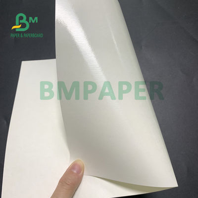 papier brut de la tasse 135gsm + 20gsm enduite de polyéthylène pour le bol de soupe