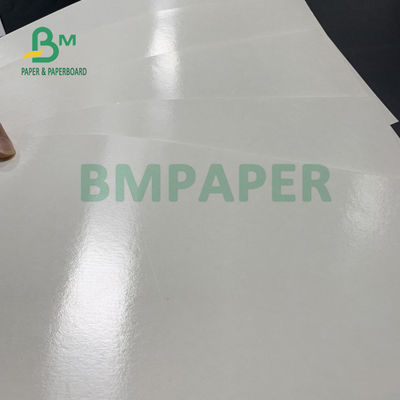 papier brut de tasse enduite sûre de PE de la nourriture 150gsm + 10gsm pour le boire