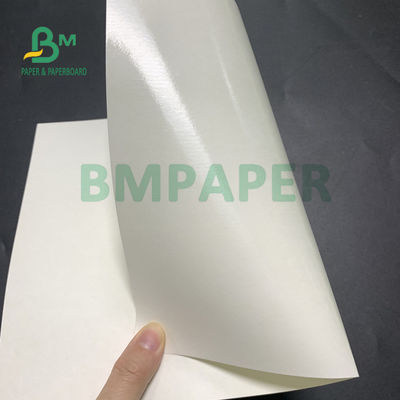 papier brut de tasse enduite sûre de PE de la nourriture 150gsm + 10gsm pour le boire