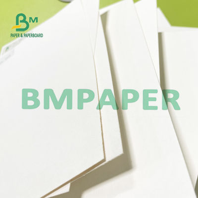 8,26 x 11,8 avancent le papier petit à petit fortement absorbant de buvard pour presser des fleurs