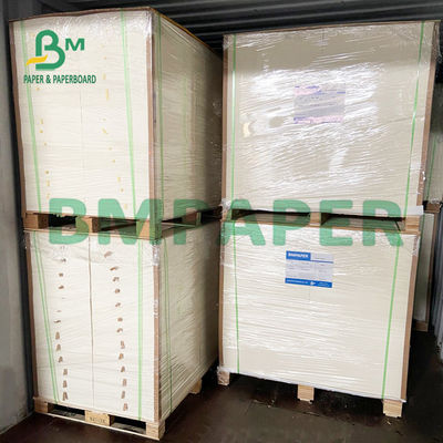 8,26 x 11,8 avancent le papier petit à petit fortement absorbant de buvard pour presser des fleurs