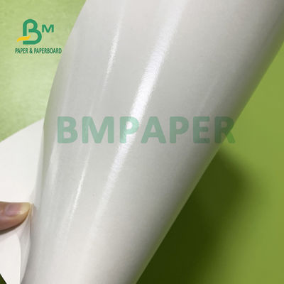 le film de PE de la tasse 210gsm+15gsm a enduit le bon éclat de papier 615mm x 850mm