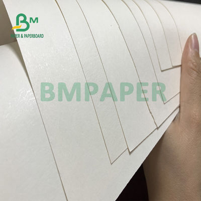le film de PE de la tasse 210gsm+15gsm a enduit le bon éclat de papier 615mm x 850mm