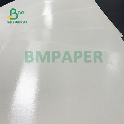 force à haute résistance de papier de tasse enduite de PE de côté du double 210gsm+20gsm