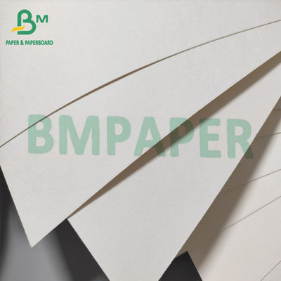 poly papier blanc enduit compostable du carton 300gsm pour des bols de soupe