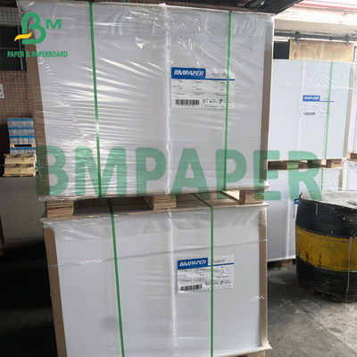 poly papier blanc enduit compostable du carton 300gsm pour des bols de soupe