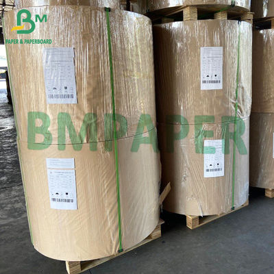 poly papier blanc enduit compostable du carton 300gsm pour des bols de soupe