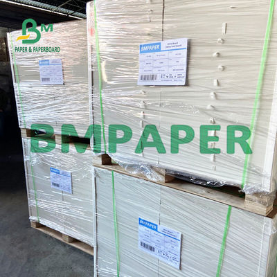 240 carton de 250 GSM Polycoated Cupstock pour les plateaux secs de nourriture