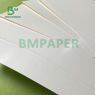 le PE de la longévité 230gsm+15gsm a enduit le papier d'actions de tasse pour le bol de soupe 560mm x 700mm