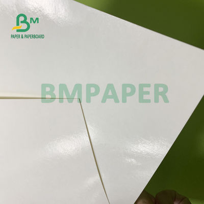 le PE de la longévité 230gsm+15gsm a enduit le papier d'actions de tasse pour le bol de soupe 560mm x 700mm