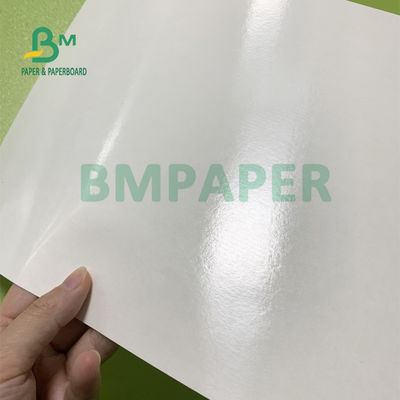 le PE de la longévité 230gsm+15gsm a enduit le papier d'actions de tasse pour le bol de soupe 560mm x 700mm