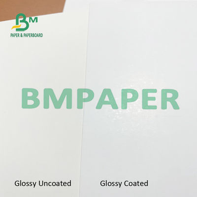 couverture d'index de C1S de 110lb 23x36 » 25x37 » Boared en ivoire pour des brochures