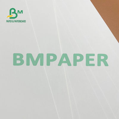 idéal blanc de papier en ivoire de conseil de 275g 325g 700mm FBB pour le courrier direct