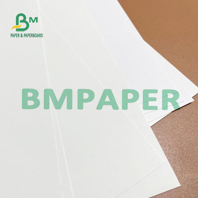 idéal blanc de papier en ivoire de conseil de 275g 325g 700mm FBB pour le courrier direct