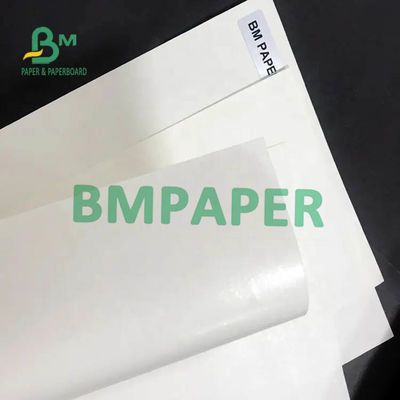 Petit pain de papier d'actions blanches de tasse côté 200gsm + 15PE simple enduit pour la tasse de papier