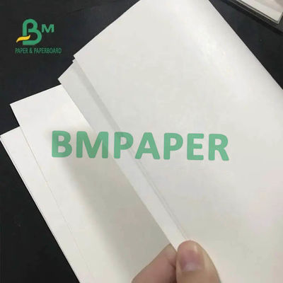Petit pain de papier d'actions blanches de tasse côté 200gsm + 15PE simple enduit pour la tasse de papier