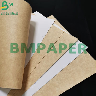 la catégorie 300gsm comestible a enduit le papier d'emballage blanc de Brown de retour pour le conteneur de nourriture