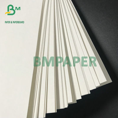 Papier absorbant blanc non-enduit de carton du panneau 600um 800um de caboteur pour des tapis de bière