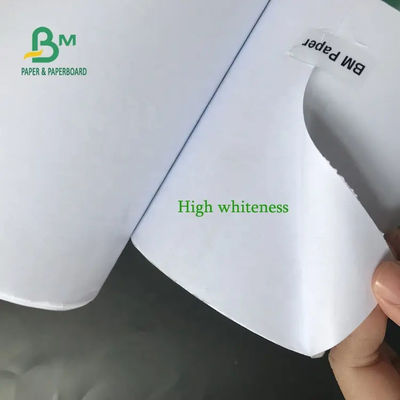 DAO de papier à dessin Rolls enduite blanche 5rolls par carton 80gsm 914mm X 50yards
