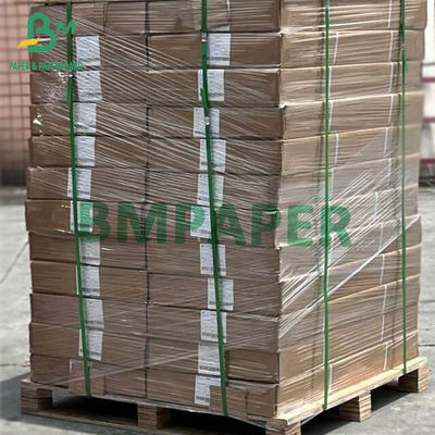 DAO de papier à dessin Rolls enduite blanche 5rolls par carton 80gsm 914mm X 50yards