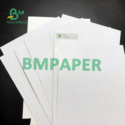 Blister SBS Paper Board Ivoire C1S Feuille 275G 300G 320G 350G 400G 425G