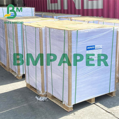 papier non-enduit de Woodfree d'impression offset de 230g 250g 300g pour des insectes