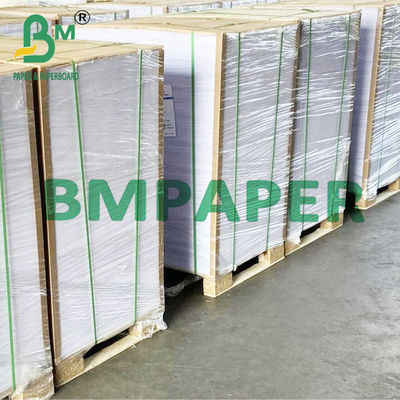 papier non-enduit de Woodfree d'impression offset de 230g 250g 300g pour des insectes