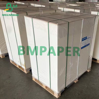 boîte Rolls de papier de pliage de carton d'agent de blanchiment du panneau 275g 300g GC1 de la largeur FBB de 635mm