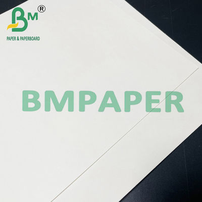 papier sûr de Cupstock de nourriture de 190gsm 200gsm 210gsm pour la nourriture chaude