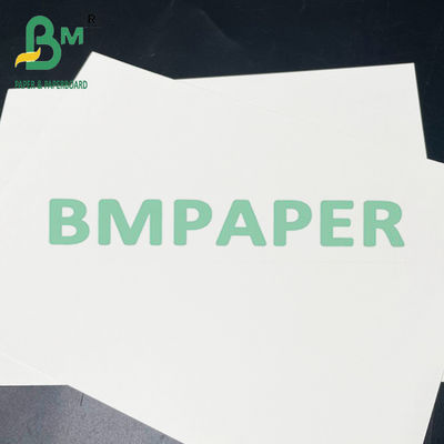 papier sûr de Cupstock de nourriture de 190gsm 200gsm 210gsm pour la nourriture chaude