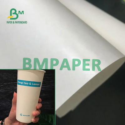 Catégorie comestible carton Rolls de poly actions blanches enduites de la tasse 230g + 15g de 210/pour le papier de cuvette de papier de tasse