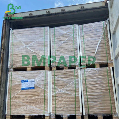 200g - 400g de carton FBB de qualité alimentaire Carton de cellulose blanche pour contenant alimentaire C1S